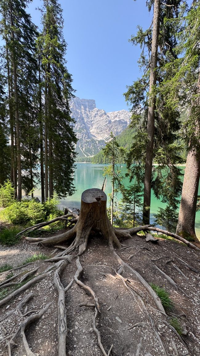 Pragser Wildsee / Lago di Braies – Das Juwel der Dolomiten