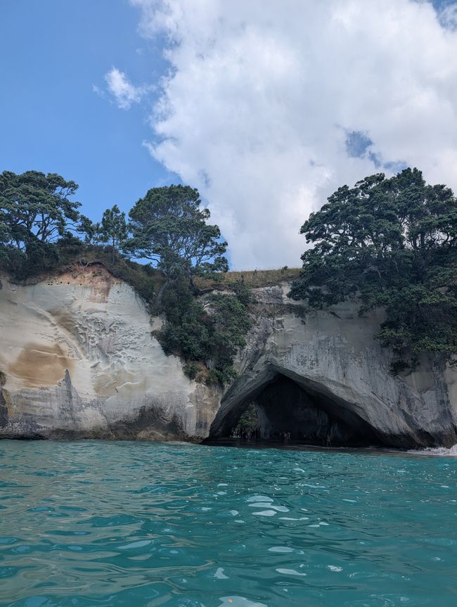 Coromandel Halbinsel - You spin my head right round, because its getting hot in here!