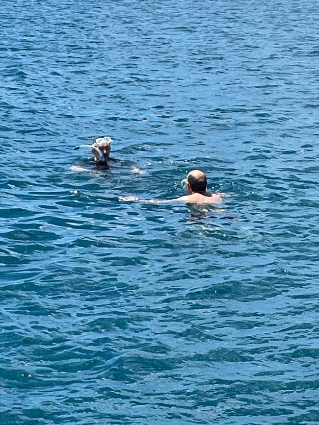 115.Etiqueta 29.4.25 Puerto del Rosario, Fuerteventura España