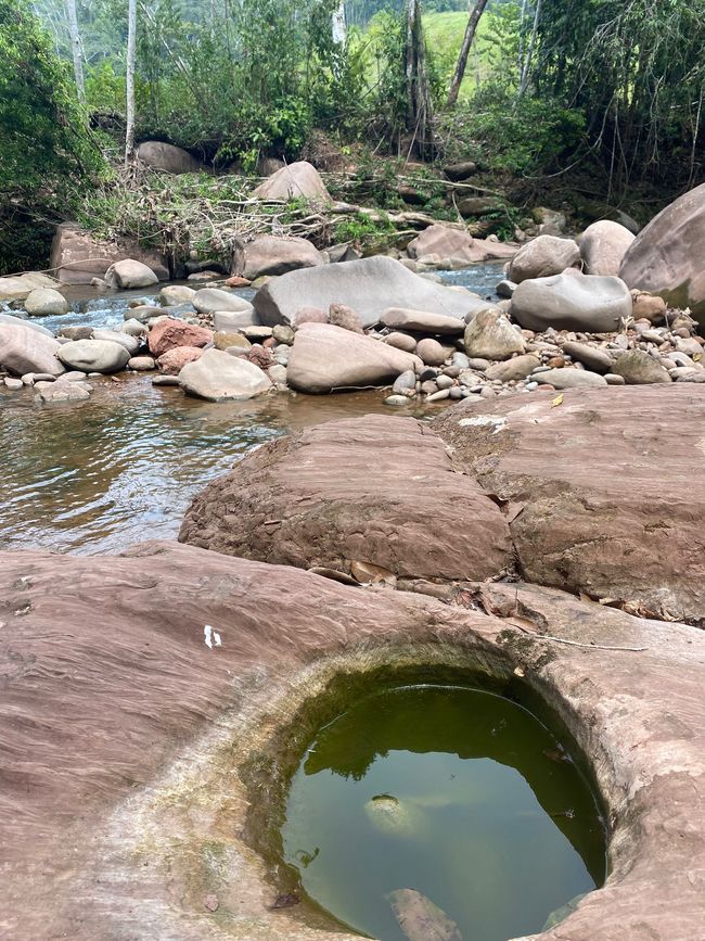 Leuchtende Käfer, grüne Orangen und andere Besonderheiten: Meine letzten Tage in der peruanischen Selva