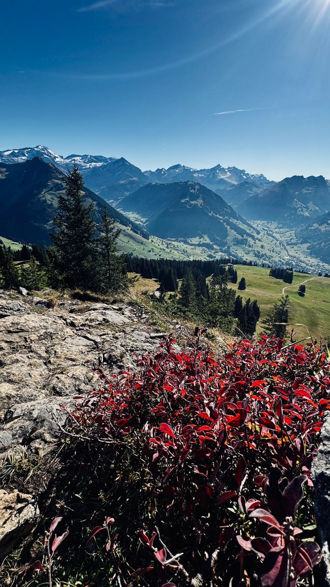 Zweisimmen 11-12 Ott. 25