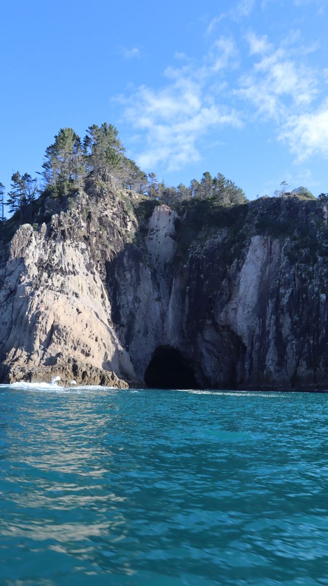 Bootstour entlang der Küste von Whitianga bis zur Cathedral Cove