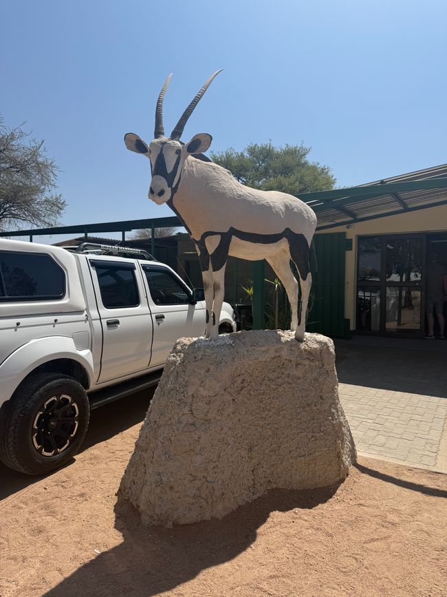 Namibia 2k25 🦓🏜️🐘