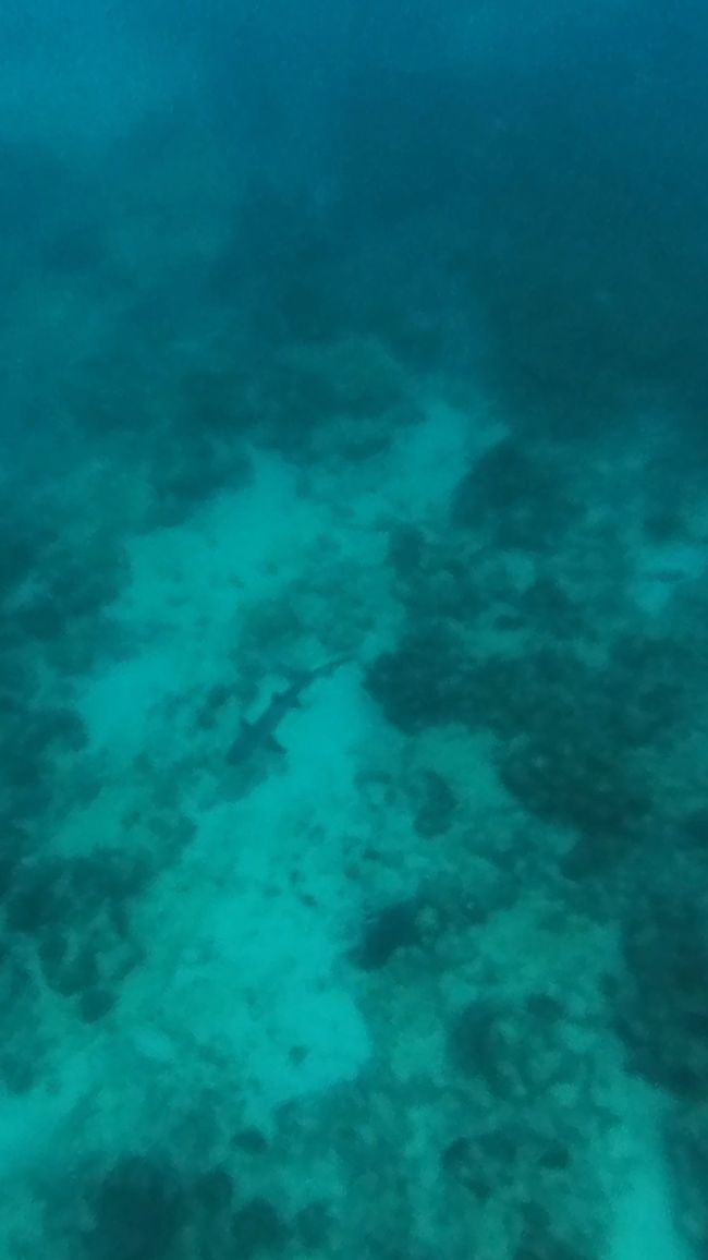 Seychellen - Tag 6: Die kleinste Hauptstadt der Welt - Victoria