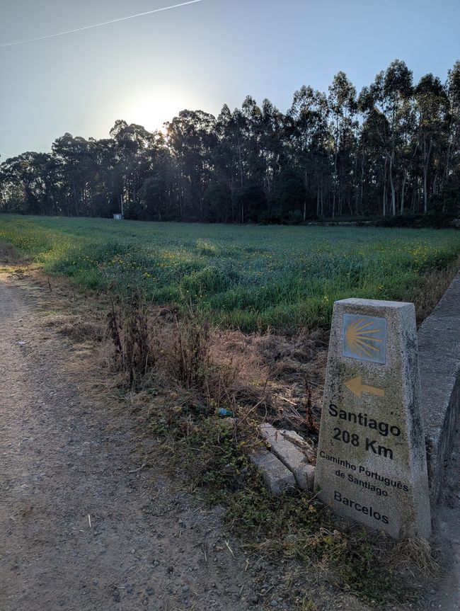 Dall'equilibrio delle forze (Camino Portugues 3)