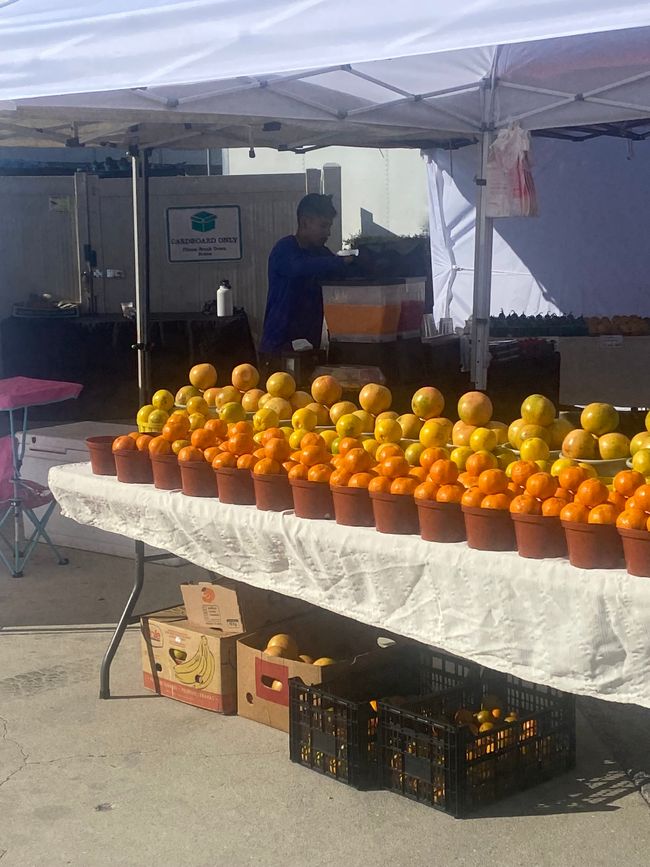 Mercato contadino a Cape Coral