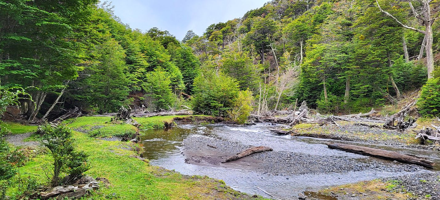 Geschichte von Puerto Williams