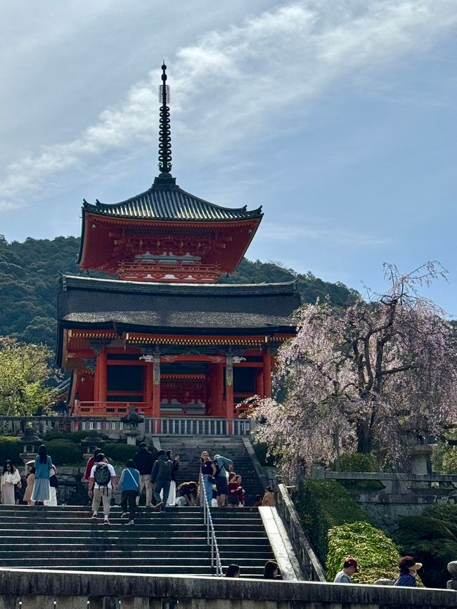 Part 8 Japan 🇯🇵 Kanazawa
