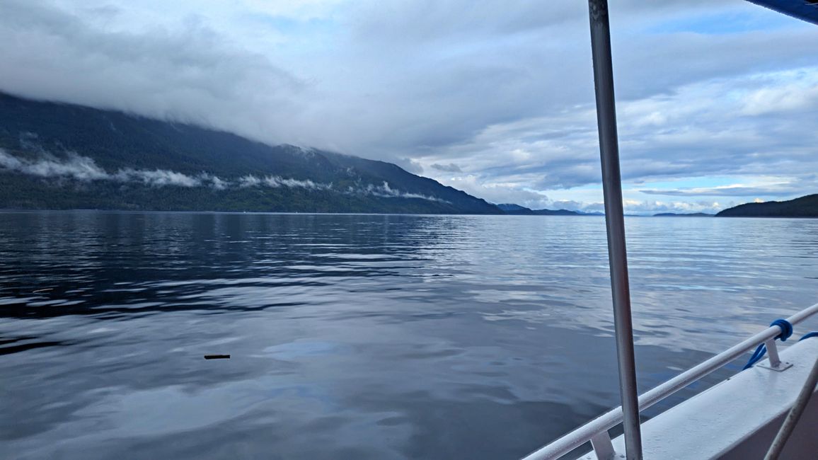 Tour de Observación de Ballenas de Seasmoke