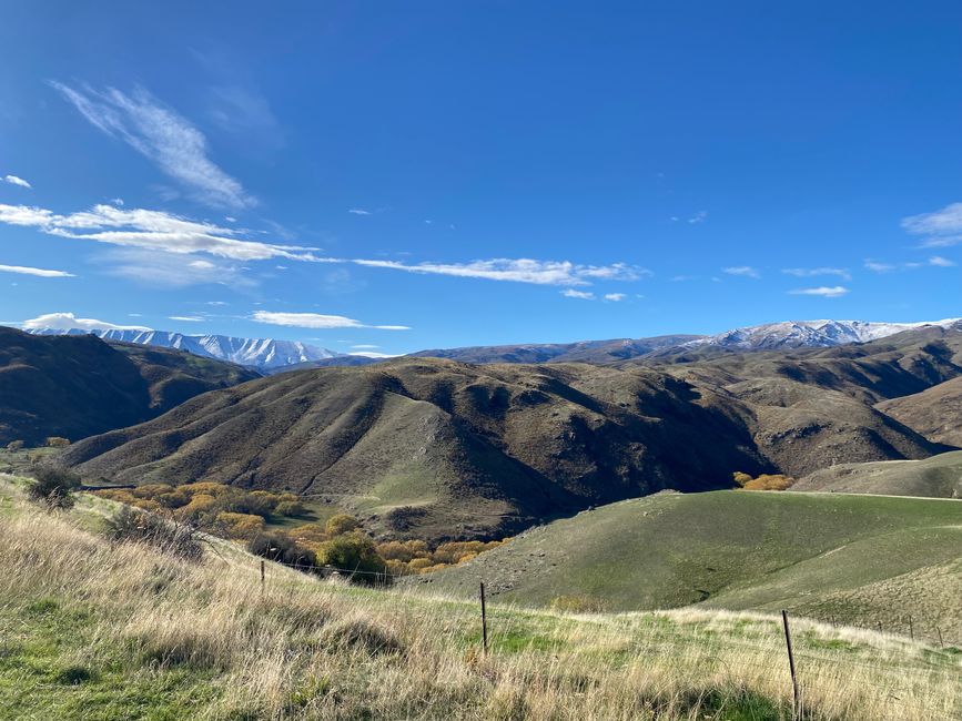 Tekapo, working and off we go