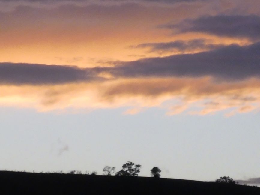 2025-02-19 a la costa oeste, NZL