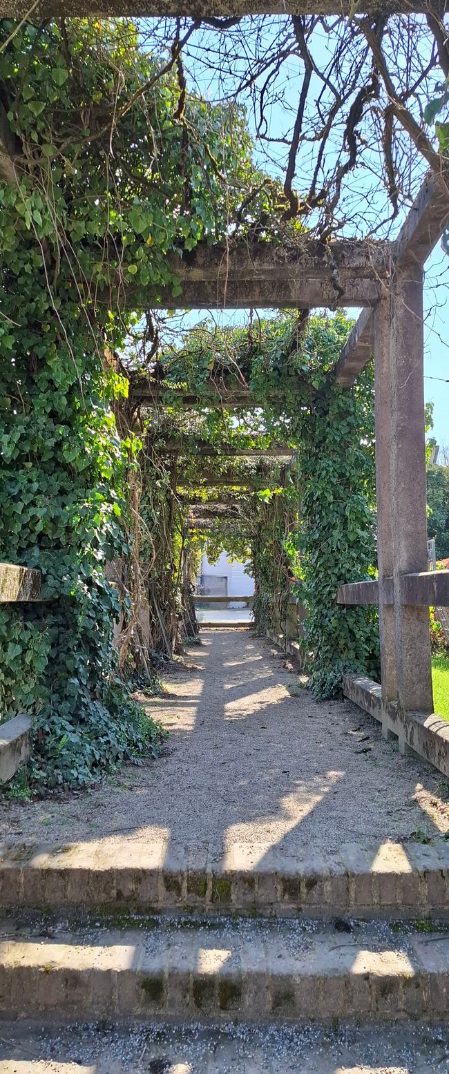 Wandern in Darmstadt 