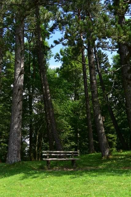 * * * Juniper Grove and Rock Face: a hike in the wild beauty of the Lochen Pass * * *