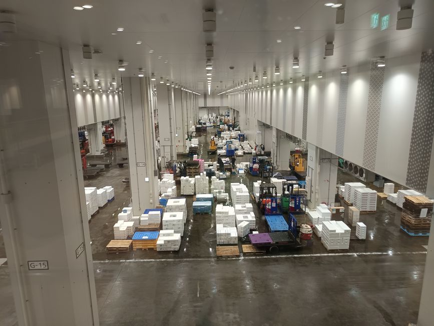 Tokyo auf eigene Faust