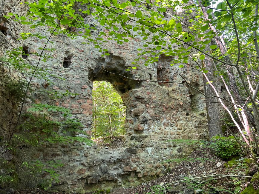 28 Wutachschlucht Pro Wolermoos
