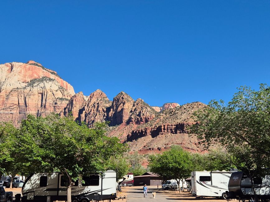 Morgen am Zion Campground