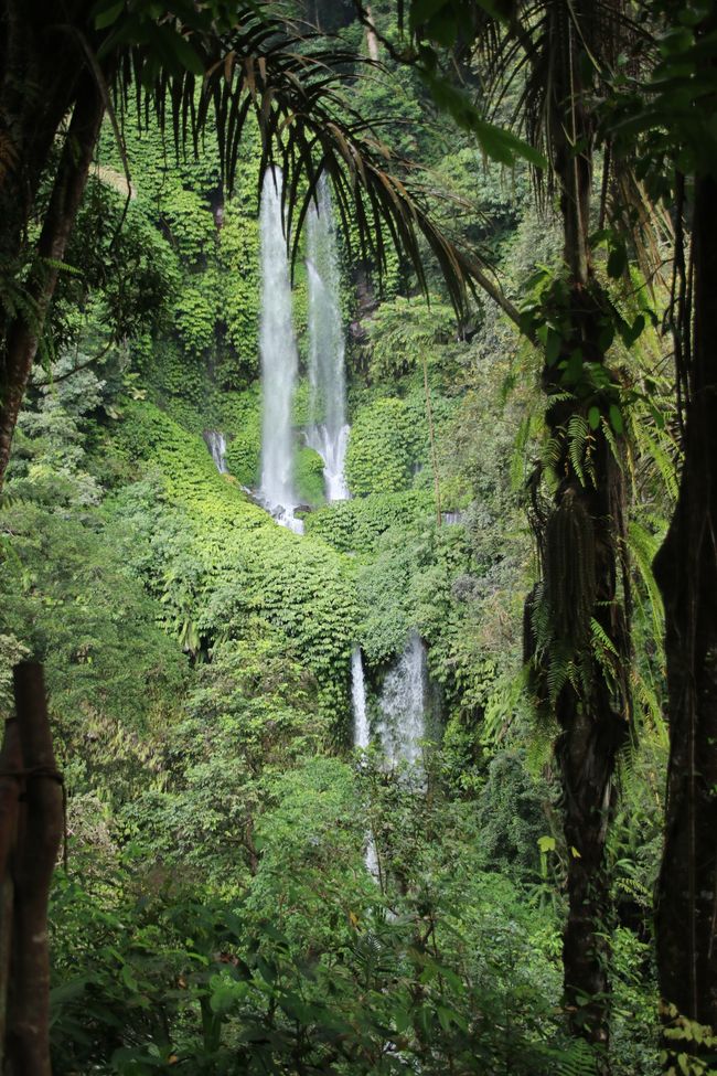 Etiqueta 16: En camino por Lombok