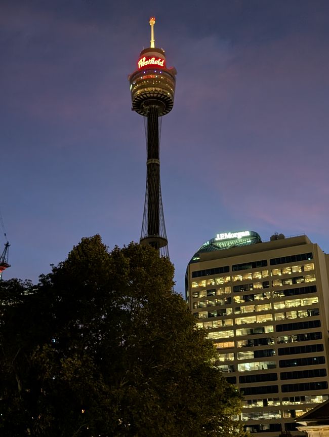 Torre