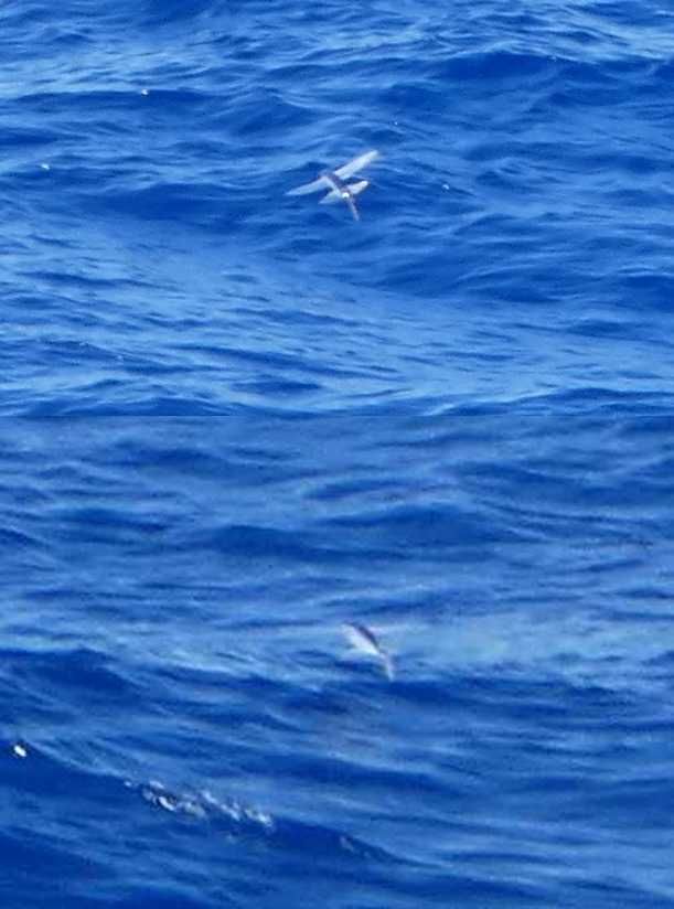 Fakarava