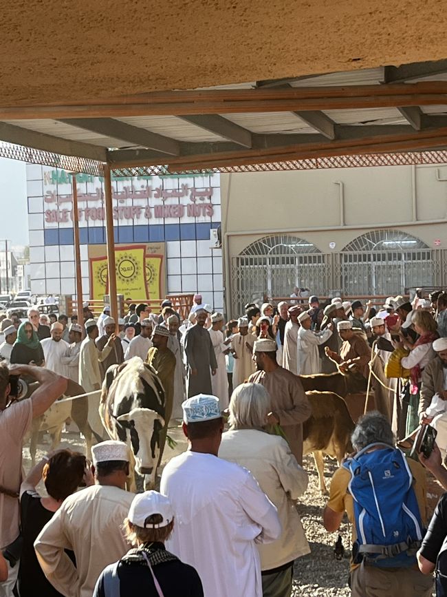 Nizwa
