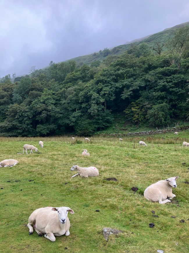 2.9.24 Keld to Reeth