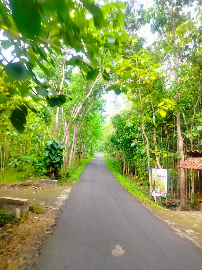 Yogyakarta