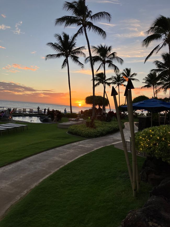 D18 - 7am Yoga with Norbi and Poipu beach with monk seals, sea turtles and Humuhumunukunukuapua‘a