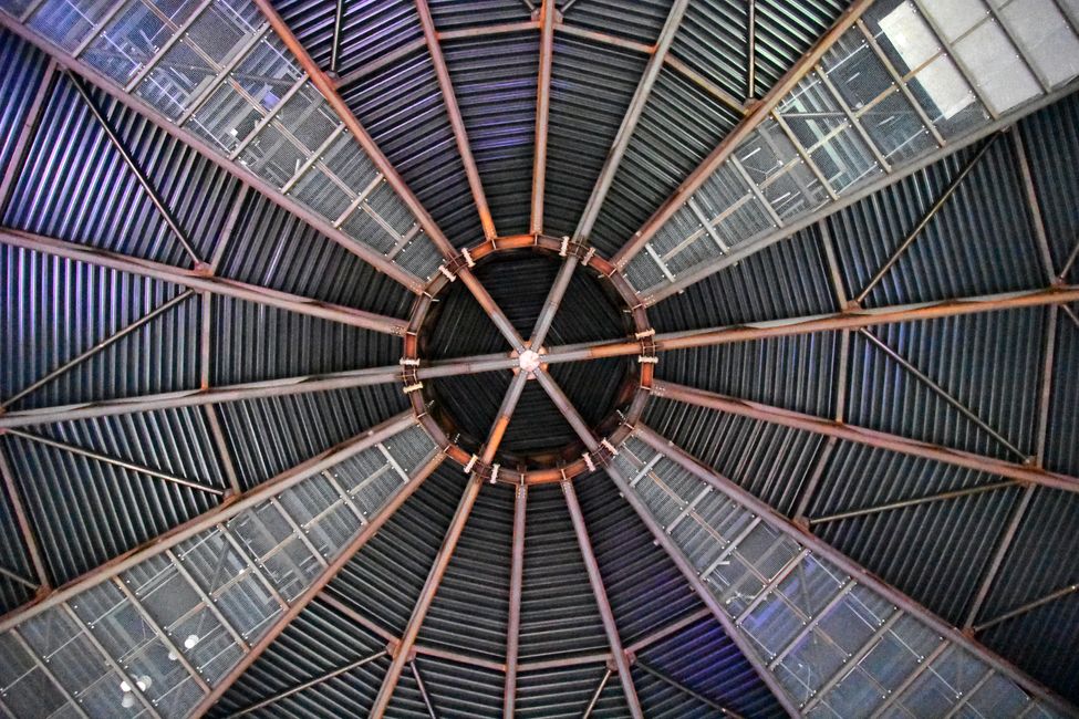 ¡AL JUNGLE! - El gasómetro de Pforzheim te transporta a la Amazonía