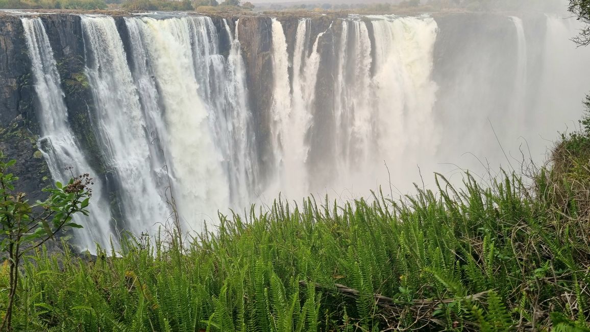 Simbabwe / Botswana 2024