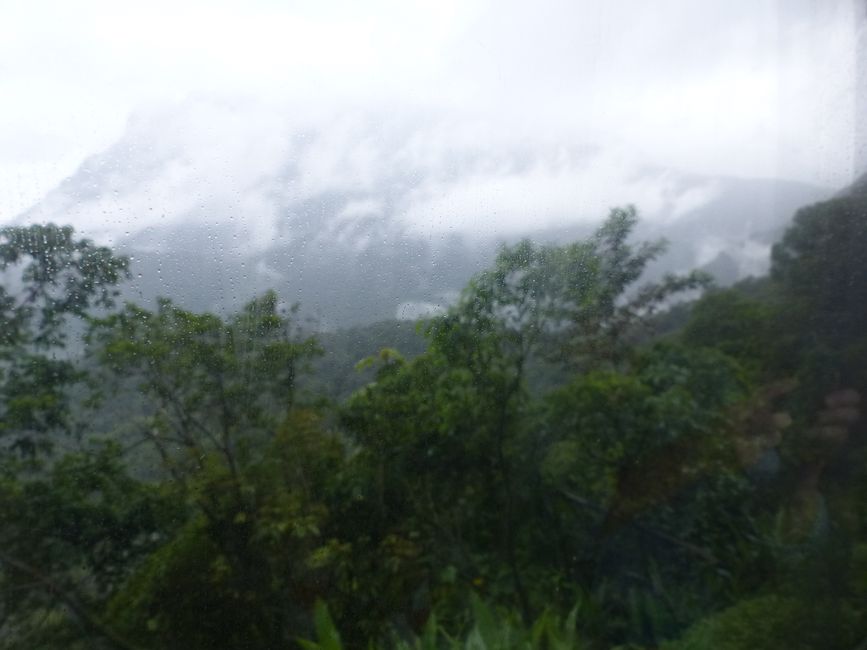Brasil, Curitiba y viaje en tren por la selva tropical