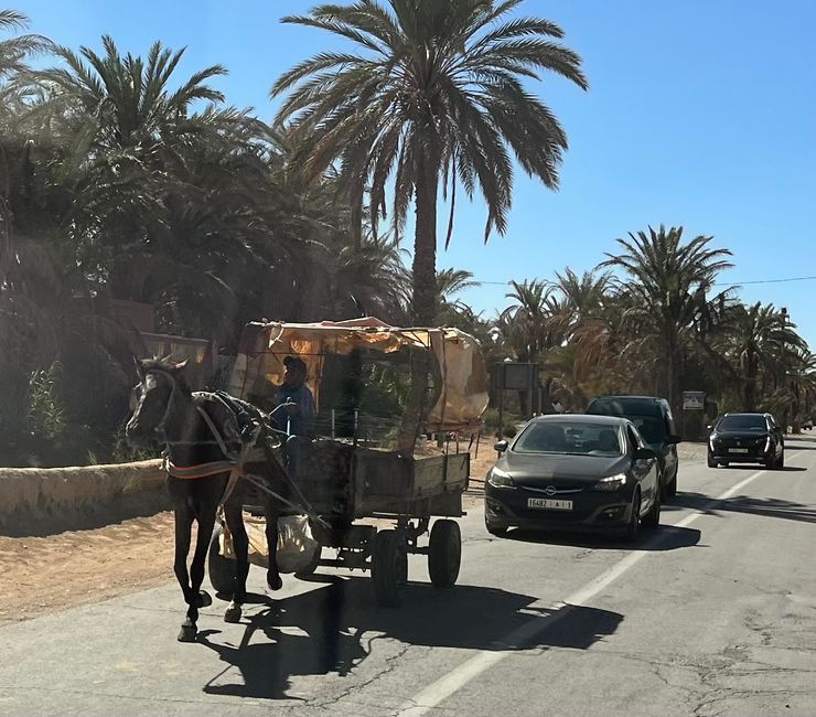 Completely common mode of transport in Morocco