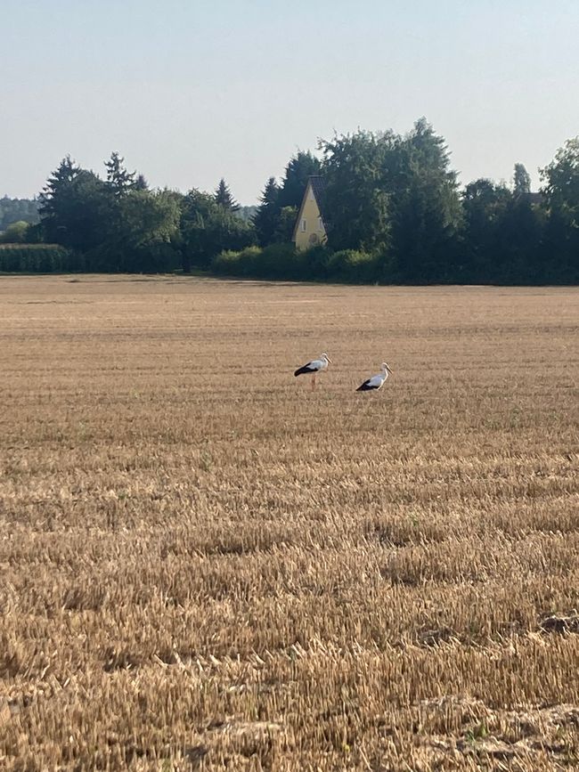 Greifswald und über die Freude im Großen und im Kleinen