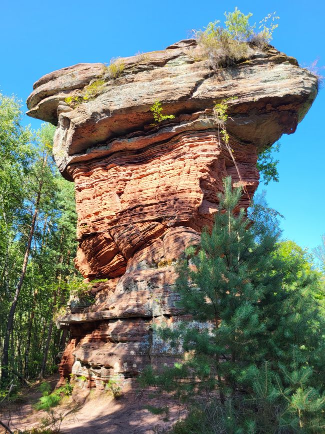 Wanderung Altschloßfelsen