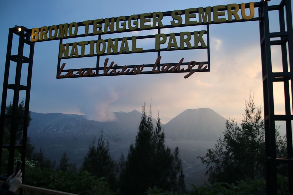 Tag 7 : Malang, thé et un volcan