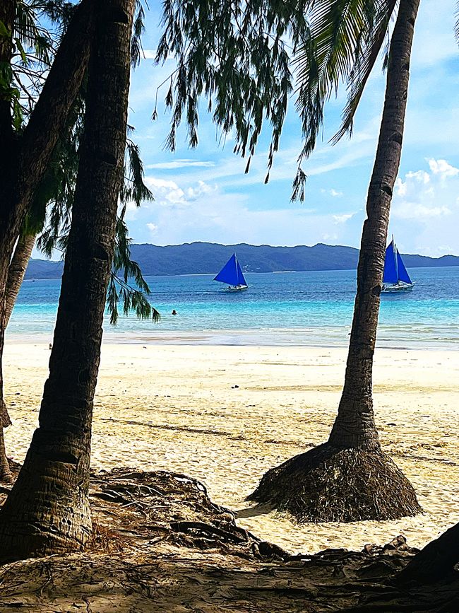 Palmenstrand