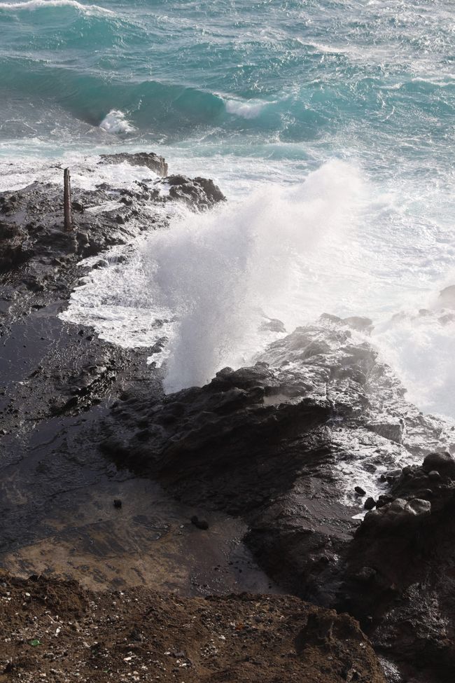 Addio alle Hawaii