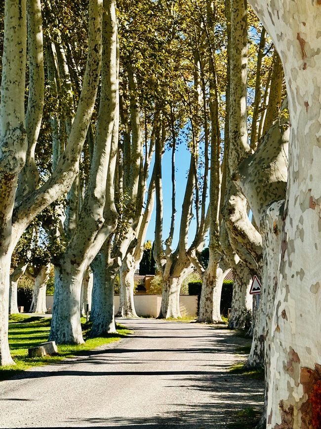 Moulin de St. Pierre, Gordes und Saignon