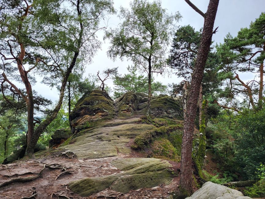 Wanderung zu den Dörenther Klippen