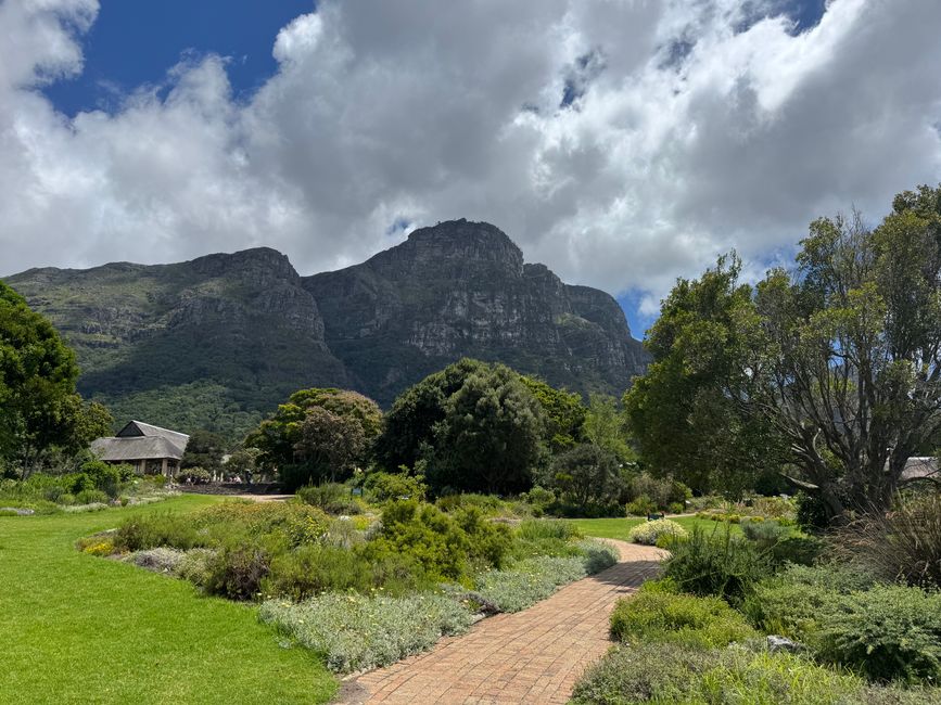 Jahreswechsel in Capetown