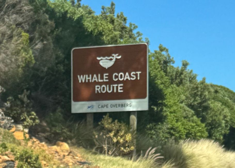 South Africa🇿🇦Week 6