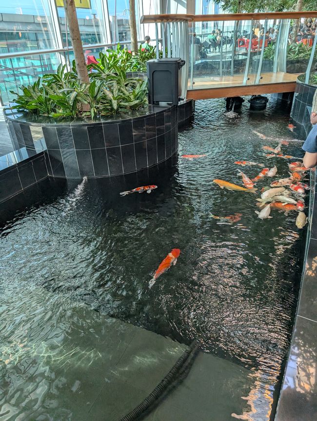 Frankfurt -Singapur