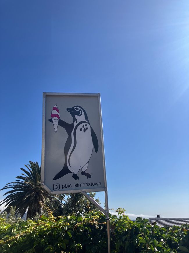 Kap-Halbinsel und Stellenbosch