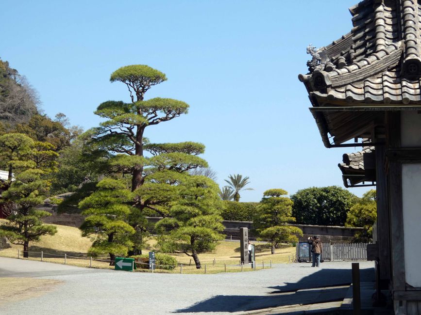 Kagoshima, 20 de marzo de 2026