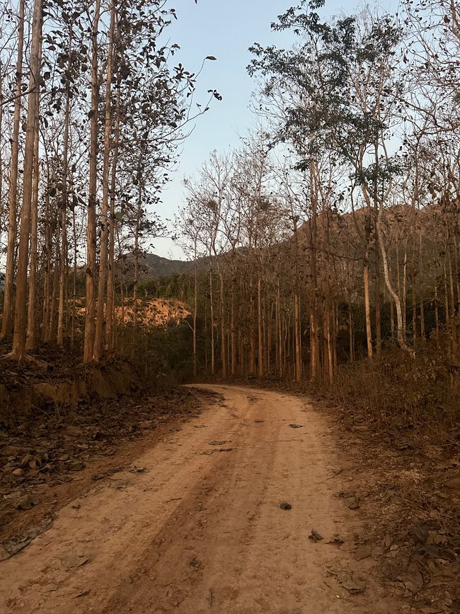 Muang Ngoy