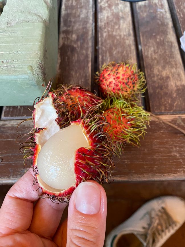 Litchi du marché