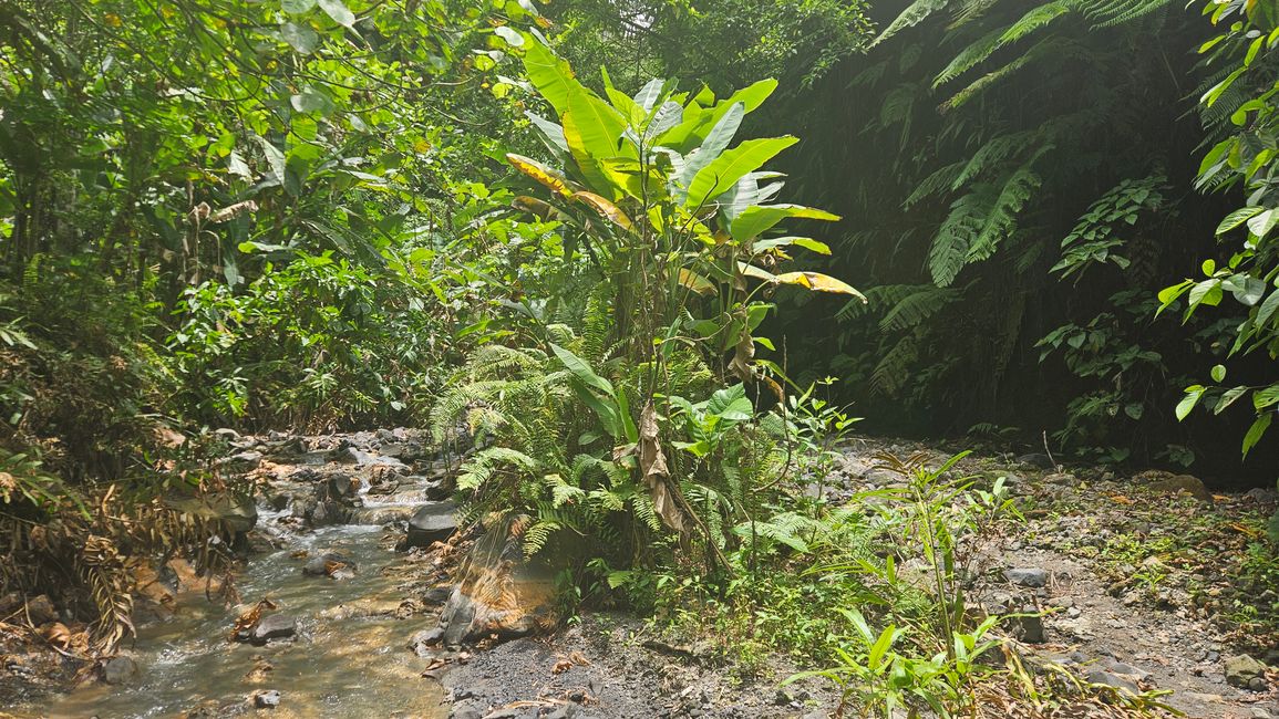 Pulau Unauna