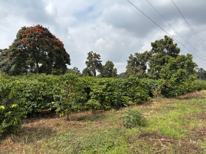 Ankunft in Arusha
