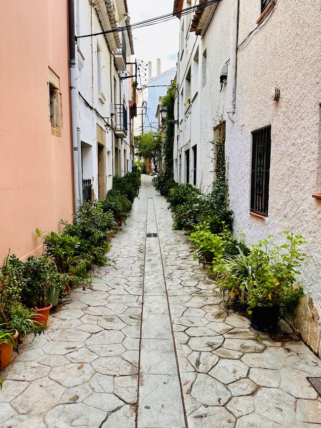 Estamos bien, ¡gracias! 
Carretera costera de Sant Feliu de Guíxols a Tossa de Mar