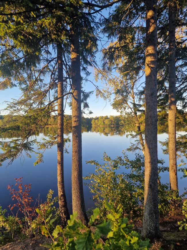 Svezia 5° Giorno - Pesca a Laholm