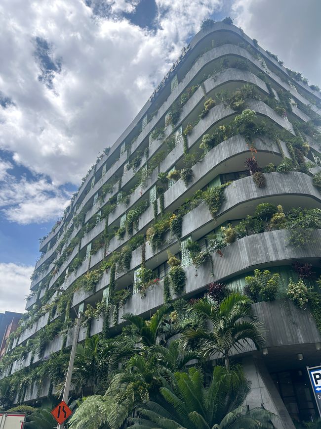 Medellín- die Stadt, in der alles erblüht?